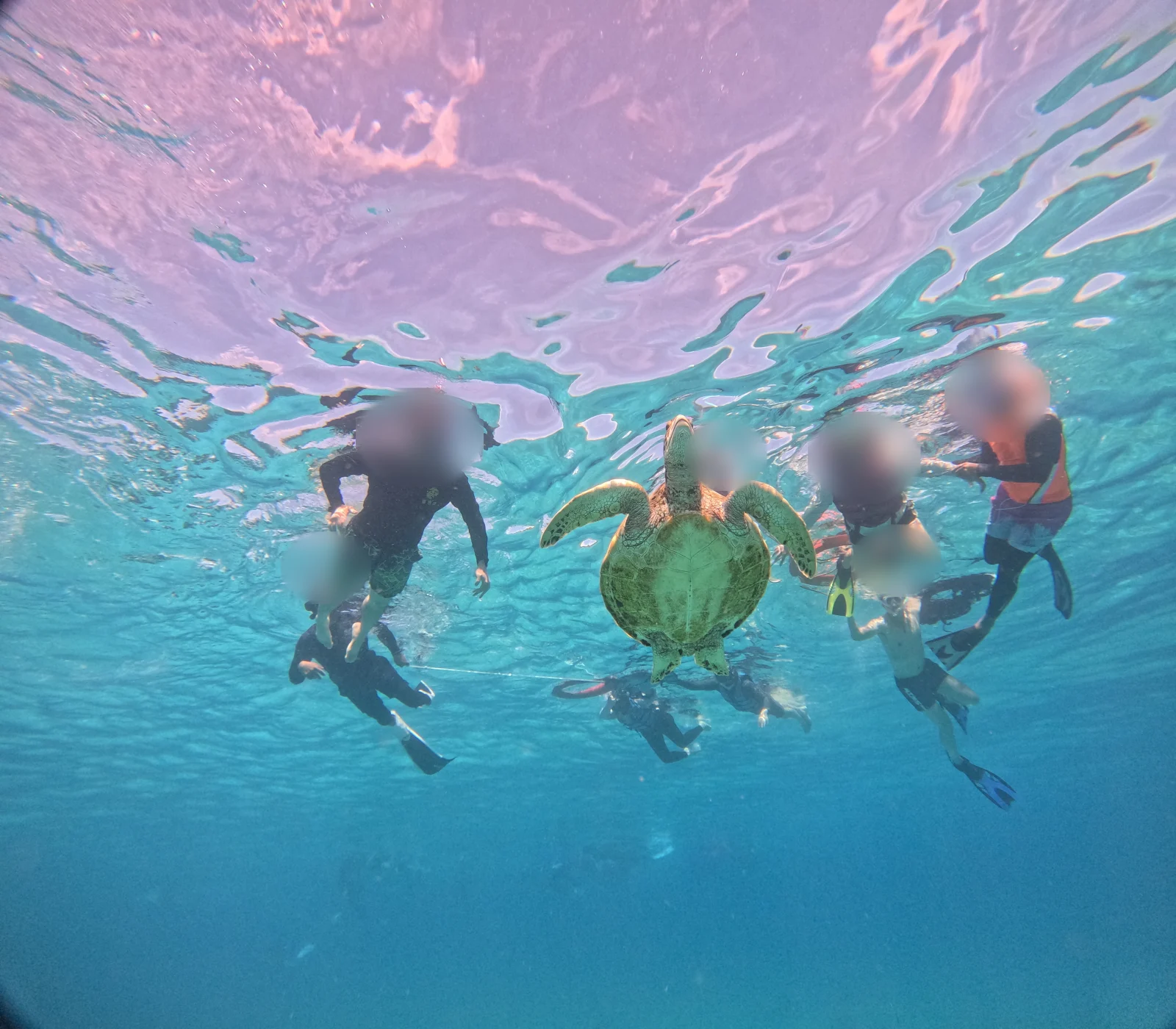 보홀 여행